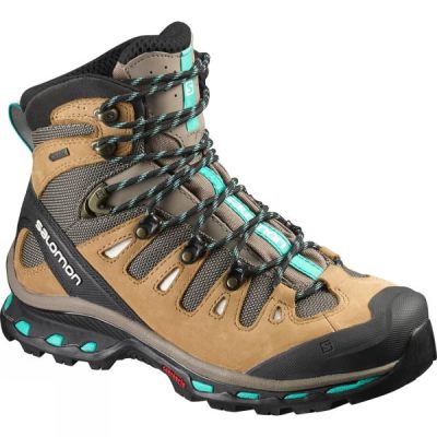 Botas Salomon Quest 4D 2 GTX Mujer - Marrones / Gris Oscuro - Chile NWS764032